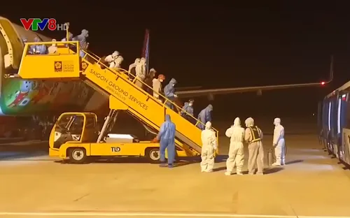 Đà Nẵng đón công dân Việt Nam trở về từ Nhật Bản