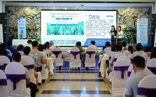 Chọn 10 dự án khởi nghiệp sáng tạo thanh niên nông thôn xuất sắc nhất miền Trung