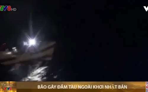 Bão gây đắm tàu chở 43 thủy thủ ngoài khơi Nhật Bản