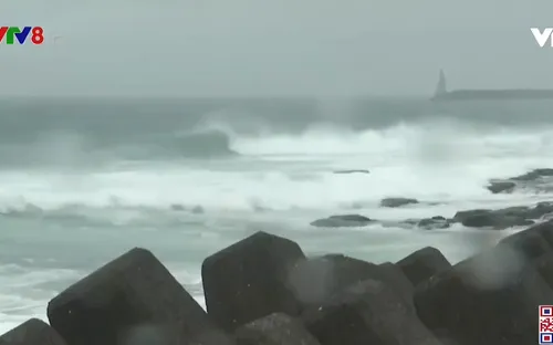 Nhật Bản sơ tán hàng nghìn người dân trước nguy cơ từ bão Haishen