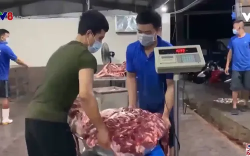 Đà Nẵng: Đảm bảo an toàn phòng chống Covid-19 tại lò mổ Đà Sơn