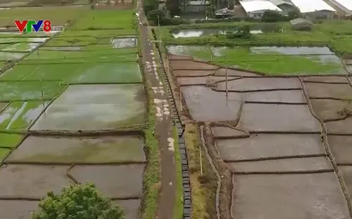Đắk Lắk: Chú trọng thực hiện tiêu chí thủy lợi trong xây dựng nông thôn mới