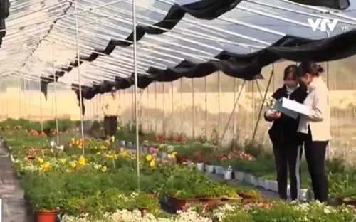 Thúc đẩy vai trò của trường đại học trong hệ sinh thái sáng tạo khởi nghiệp