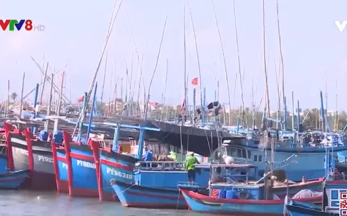 Tiếp sức ngư dân bám biển thời điểm đầu năm