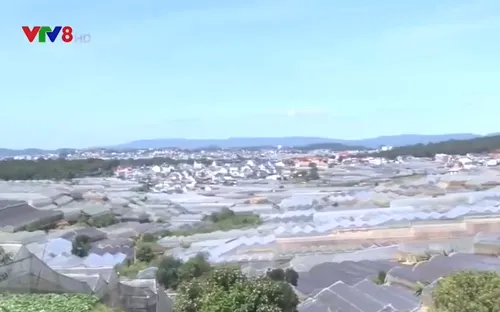 Lâm Đồng ra qui định mới về tách thửa đất