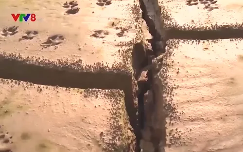 Hiệu quả từ sáng kiến cải tạo đất bùn tại Quảng Bình