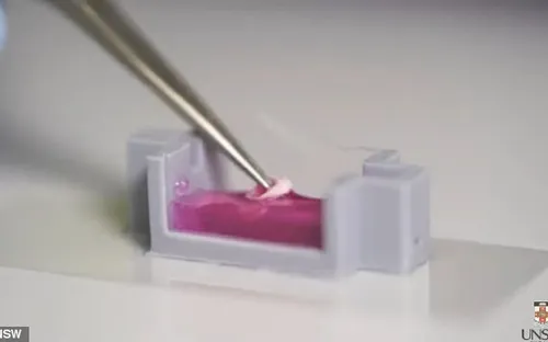 In 3D xương người bằng tế bào sống tại nhiệt độ phòng