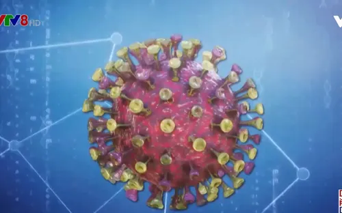 Ấn Độ phân lập và nuôi cấy thành công biến thể mới của virus SARS-CoV-2