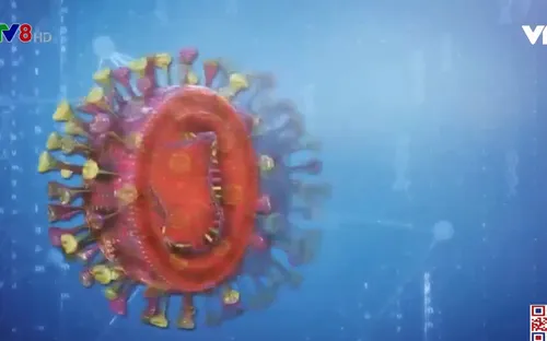 Biến chủng Sars-CoV-2 ở Nam Phi có thể kháng vaccine