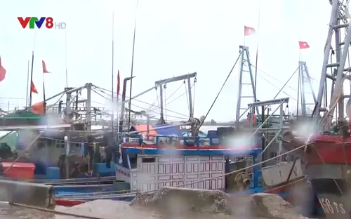 Các tỉnh Bắc Trung bộ chủ động ứng phó với mưa bão