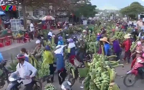 Quảng Trị: Ổn định thị trường cho các loại hình nông sản trong mùa dịch