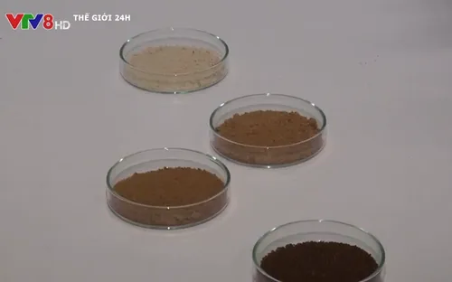 Nghiên cứu phương pháp sản xuất cà phê không cần trồng cây