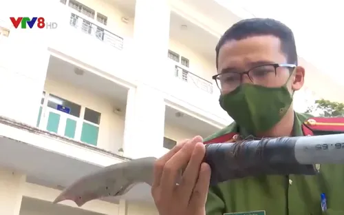 Đà Nẵng làm rõ nhóm thanh niên chuẩn bị hung khí đi giải quyết mâu thuẩn