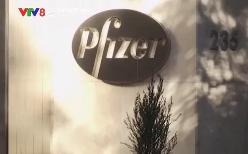 Dự báo doanh thu khổng lồ của Pfizer và Moderna