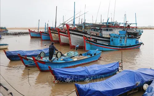 Các địa phương khẩn trương ứng phó với mưa lũ và áp thấp nhiệt đới