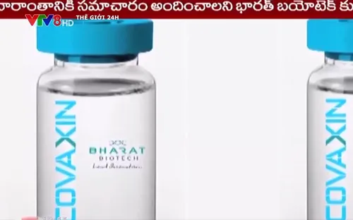 Ấn Độ: Tiêm đủ vaccine vẫn không thể đi nước ngoài