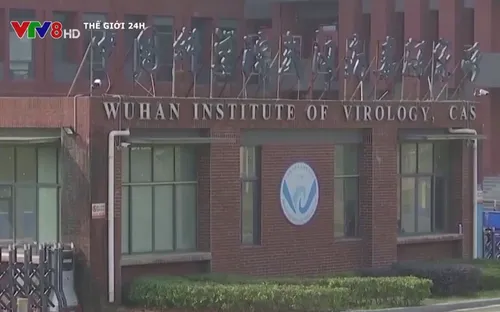Không bao giờ xác định được nguồn gốc của COVID-19