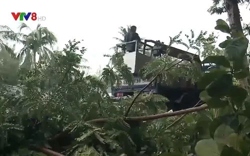 Các tỉnh Nam Trung bộ ứng phó với áp thấp nhiệt đới