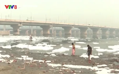 Bọt độc hại bao phủ dòng sông Yamuna tại Ấn Độ