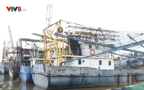 Nỗi lo nợ xấu khi ngư dân vay vốn đóng tàu cá vỏ sắt