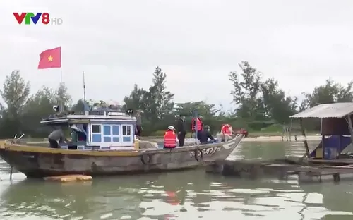 Đà Nẵng giải bài toán sinh kế sau khi tháo dỡ lồng bè tự phát