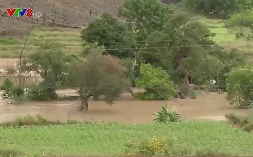 Đắk Lắk: Vướng mắc trong công tác di dời dân ở dự án hồ chứa Krông Pách Thượng