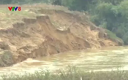Hà Tĩnh: Tình trạng sạt lở bờ sông diễn biến phức tạp