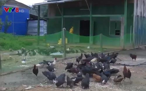 Chủ động nguồn thực phẩm tại chỗ ở vùng biên giới