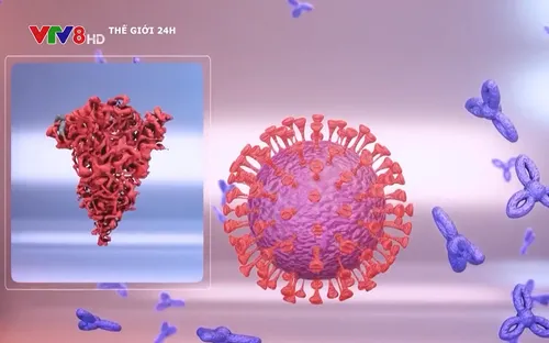 WHO: "Không nên vội vàng áp đặt hạn chế nhập cảnh"