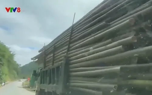 Thanh Hóa: Tái diễn tình trạng xe quá khổ, quá tải