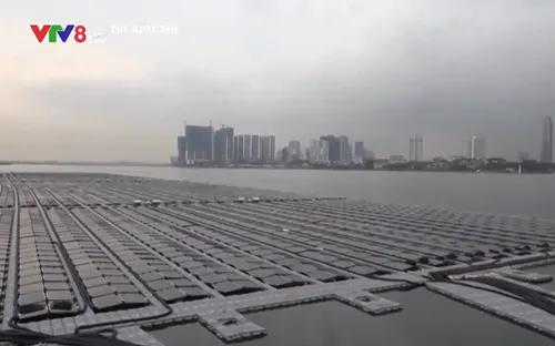 Các nước phát triển năng lượng tái tạo