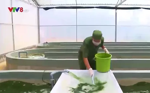 Khởi nghiệp thành công ngay trên quê hương