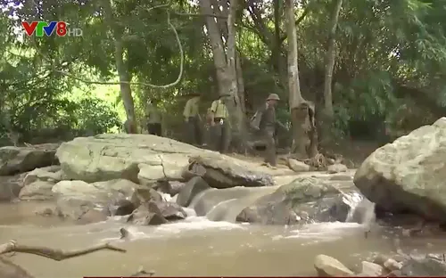 Đắk Lắk thiếu hụt nhân lực bảo vệ rừng