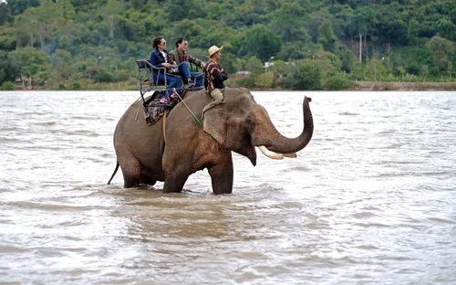 Đắk Lắk sẽ hạn chế, hướng tới chấm dứt du lịch cưỡi voi