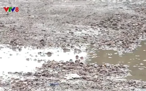 Bất cập hạ tầng giao thông trên các tuyến quốc lộ qua Bình Định