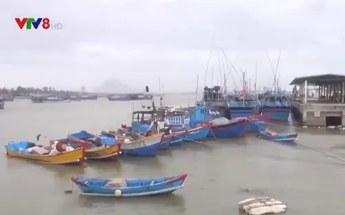 Nam Trung bộ ứng phó với bão số 9