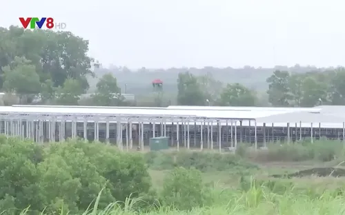 Đắk Lắk: Hệ lụy từ dự án kém hiệu quả