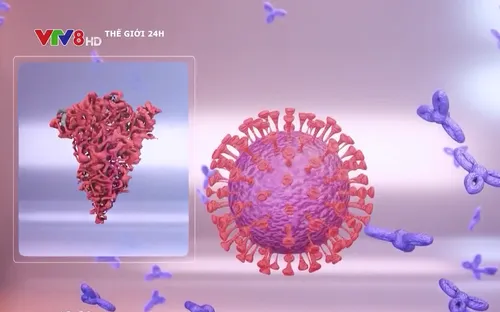 Hà Lan cảnh báo về các biến thể phụ của Omicron