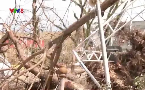 Hơn 200 người thiệt mạng do bão Rai tại Philippines