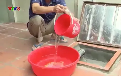 Nước nhiễm mặn ảnh hưởng hàng ngàn hộ dân ở huyện Nga Sơn, tỉnh Thanh Hoá