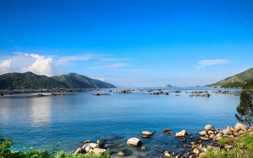 Phú Yên đón nhu cầu bổ sung quần thể thương mại độc đáo