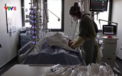 Biến thể Omicron có thể chiếm hơn một nửa số ca mắc COVID-19 ở châu Âu