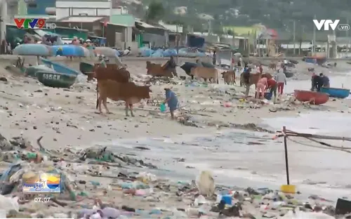 Ninh Thuận: Chưa xử lý triệt để nạn vứt rác thải xuống biển