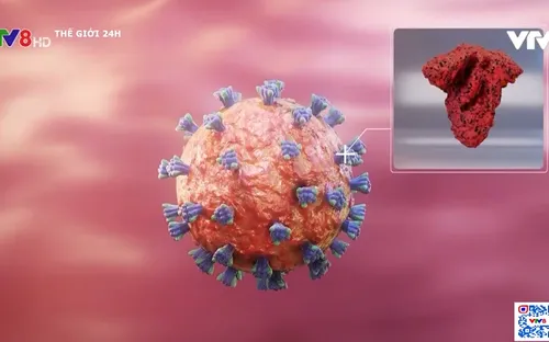 Omicron có thể là "lối thoát" cho khủng hoảng COVID-19