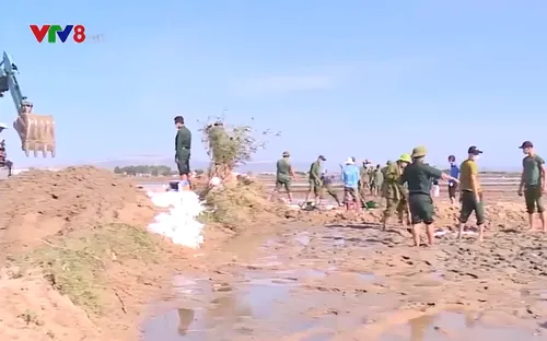 Bình Định: Giúp dân khắc phục sa bồi thủy phá