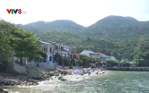 Đón Tết ở Cù Lao Chàm