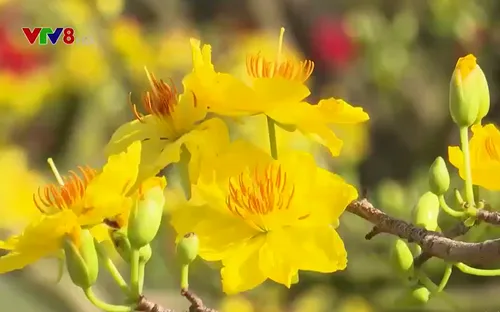 Không khí ngày cuối cùng của năm