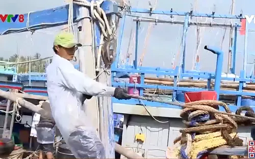 Bình Định : Rộn ràng chuyến biển đầu năm