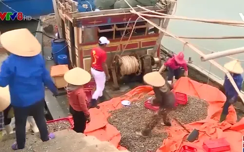 Hà Tĩnh đẩy mạnh xuất khẩu thủy hải sản