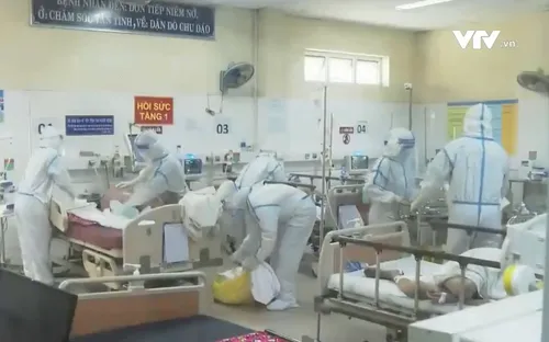 Kỳ diệu những cuộc "hồi sinh" sau dịch bệnh, bão lũ